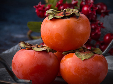 九游体育官方注册基地展示四