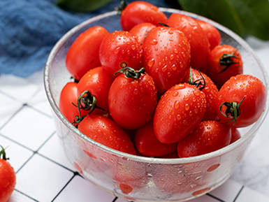 九游体育官方注册基地展示六